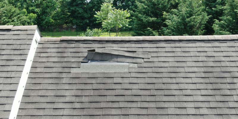 Missing Shingles